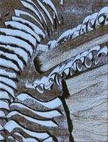 Mo 012, Einmaldruck